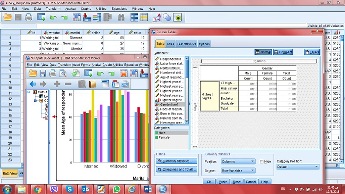 Capstone Statistical Help